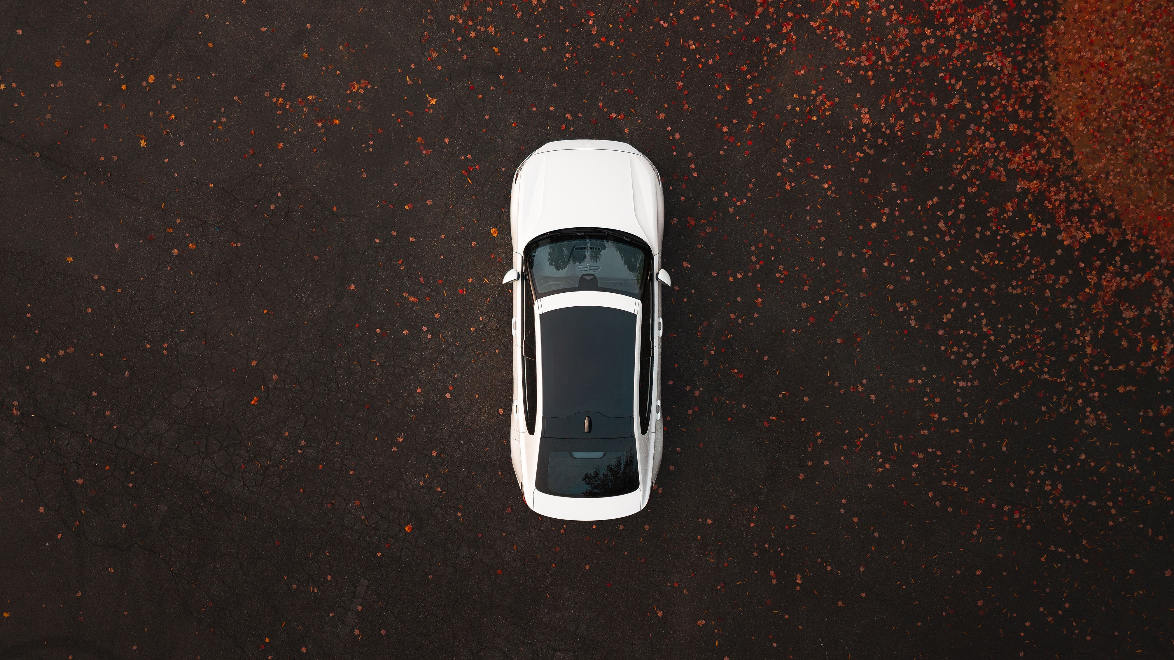 Automotive