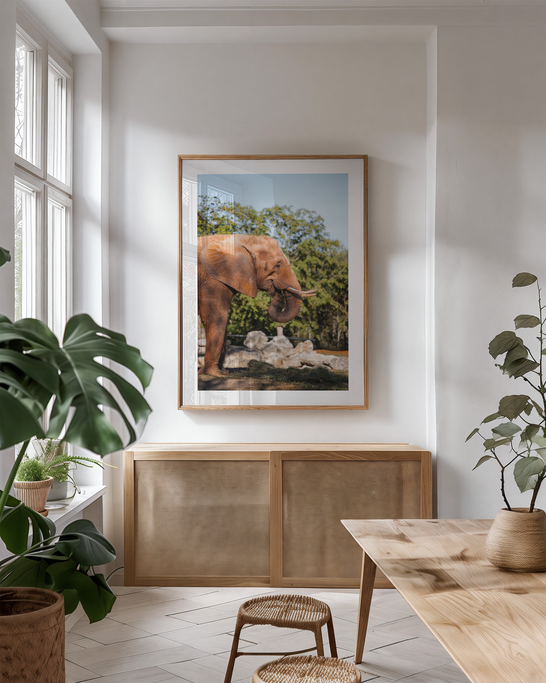 African Elephant Side Profile