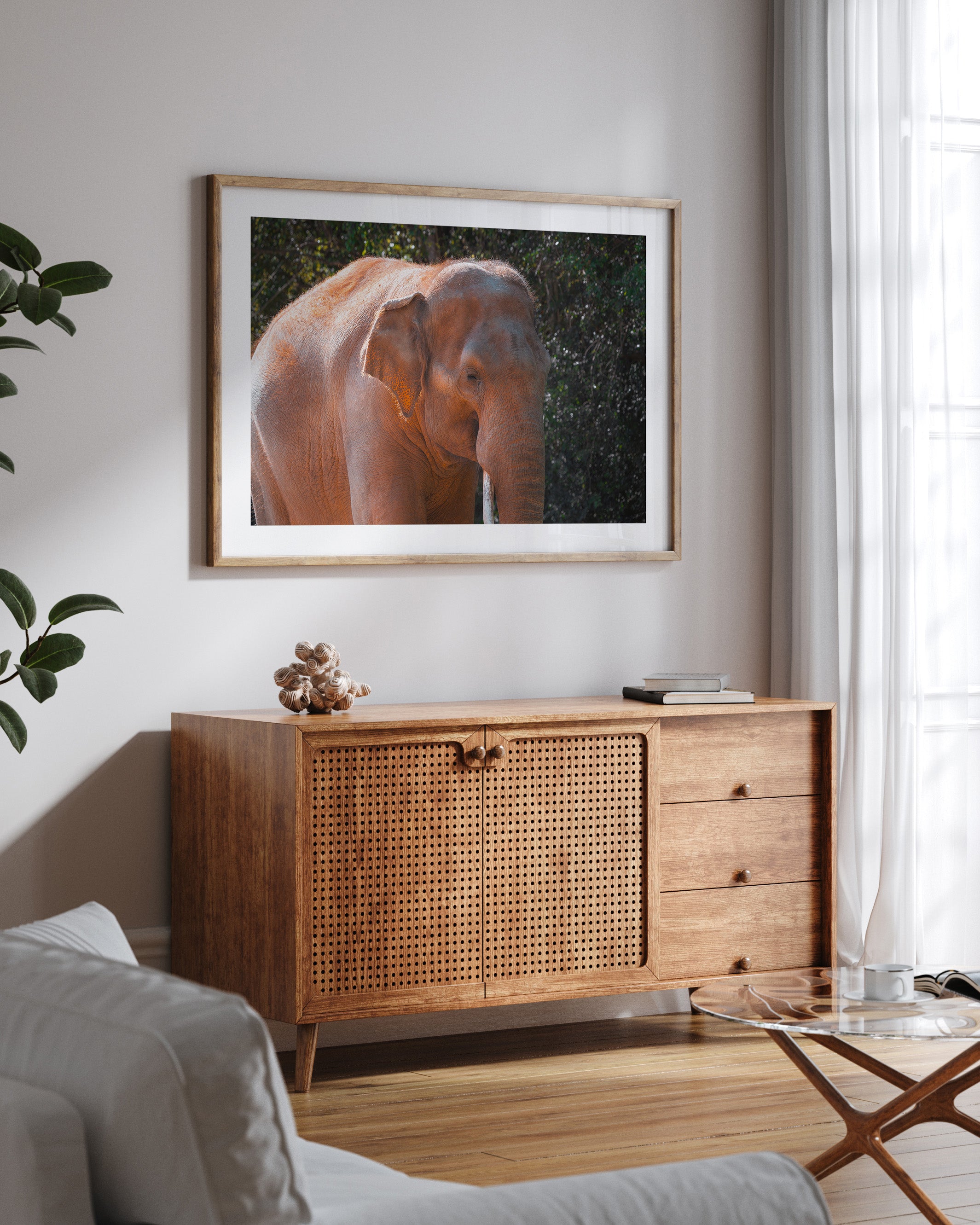 Asian Elephant in Nature II