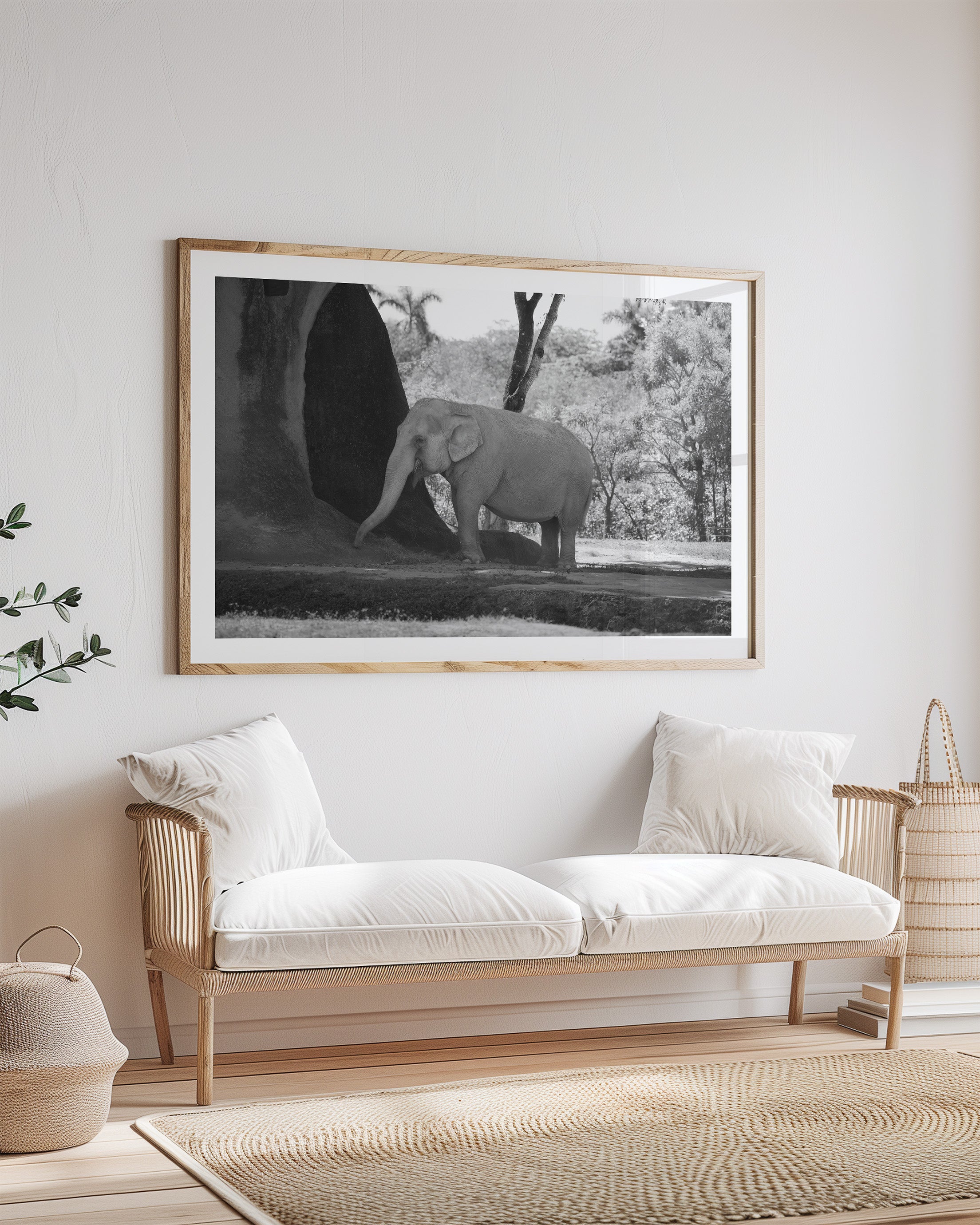 Asian Elephant in Nature (BW)