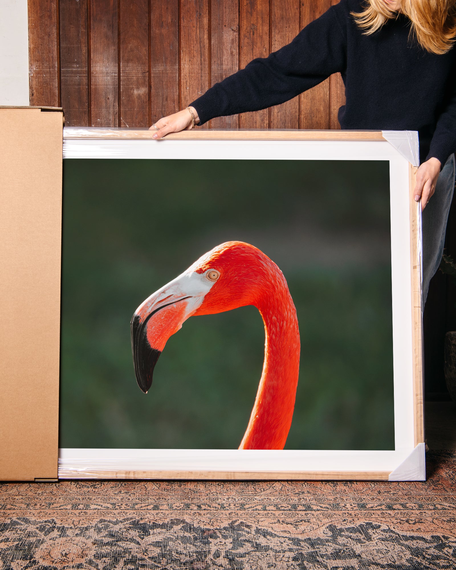 Flamingo Side Profile Portrait