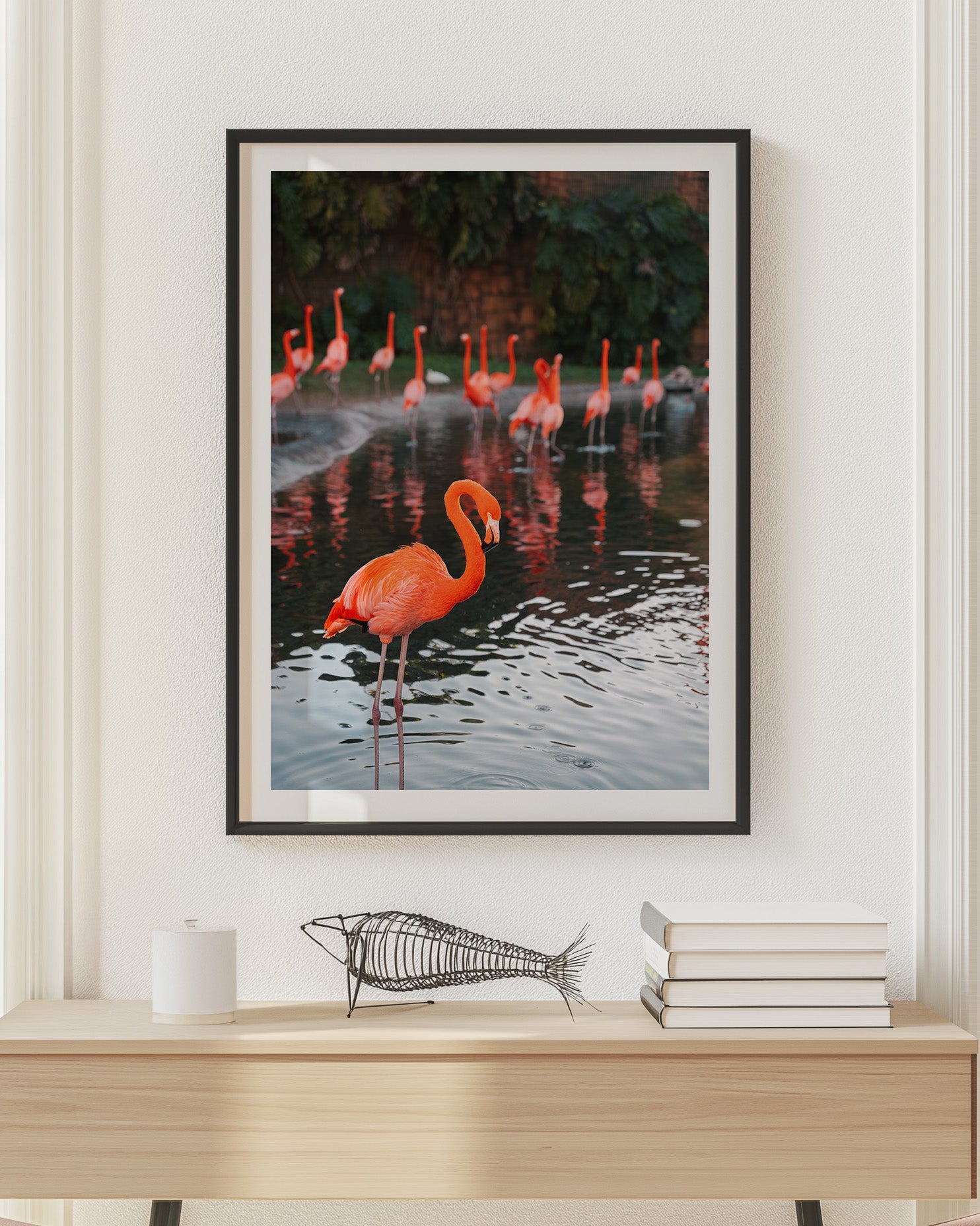 Flamingos in Water