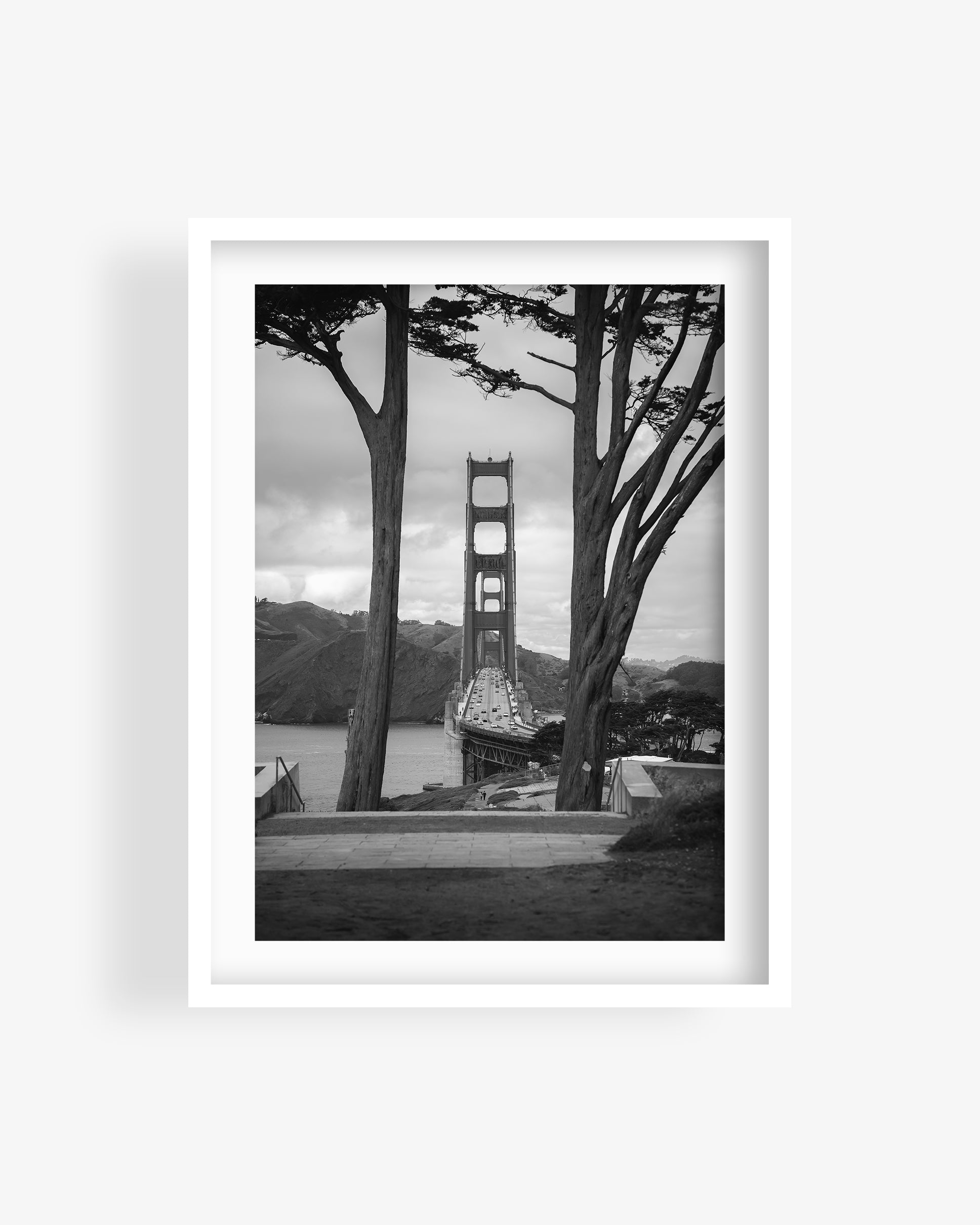 Golden Gate Bridge Centered Through Trees (BW)