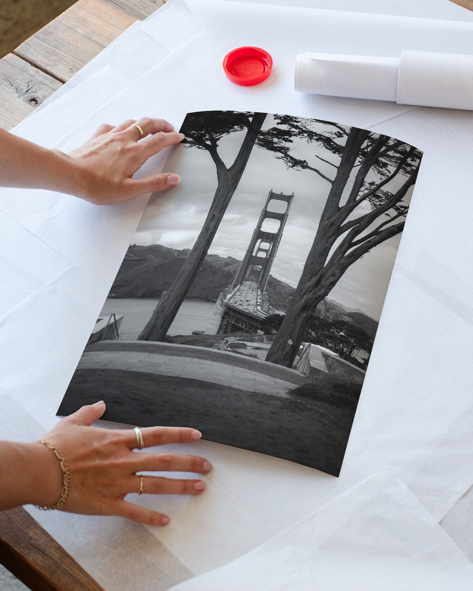 Golden Gate Bridge Centered Through Trees (BW)