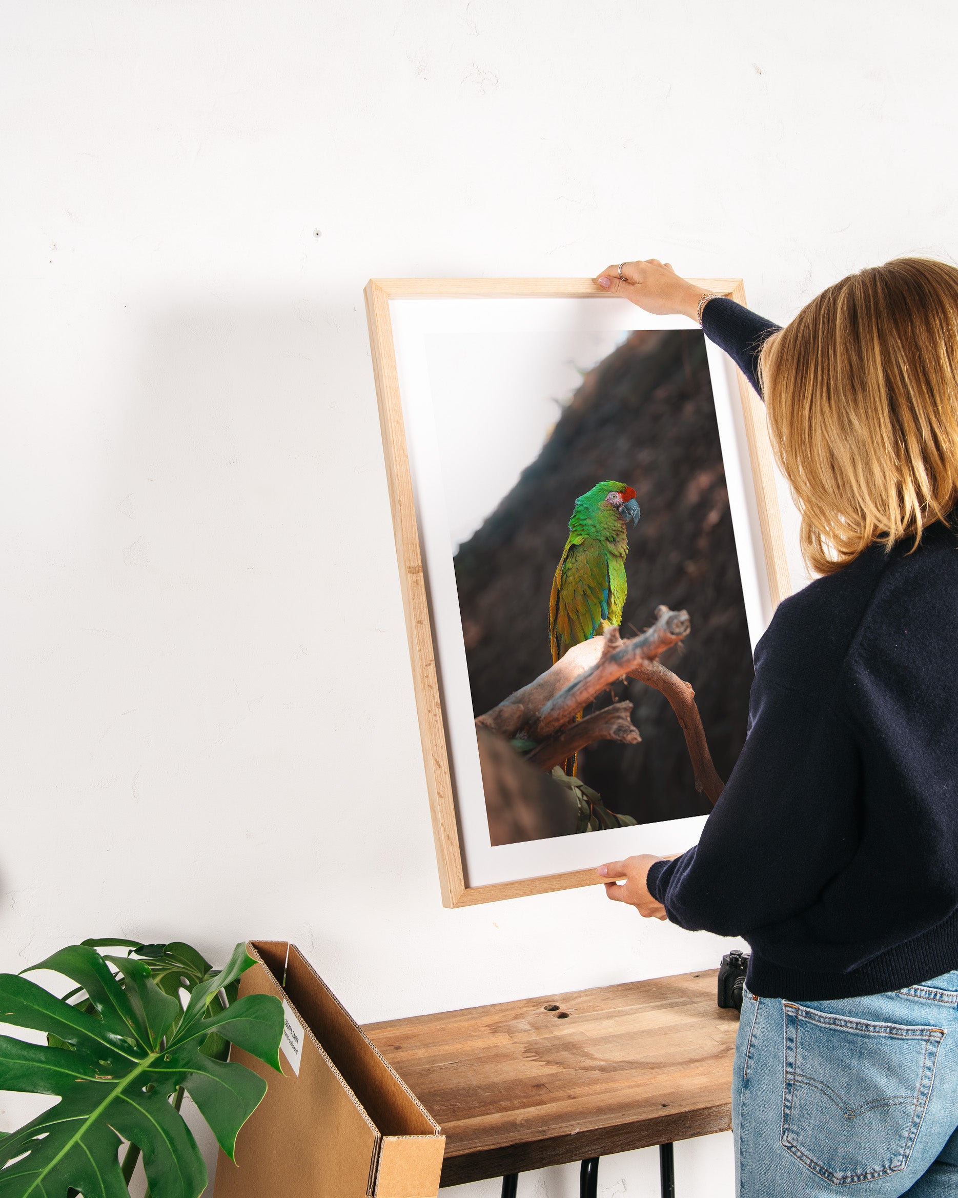 Green Macaw Parrot on a Branch