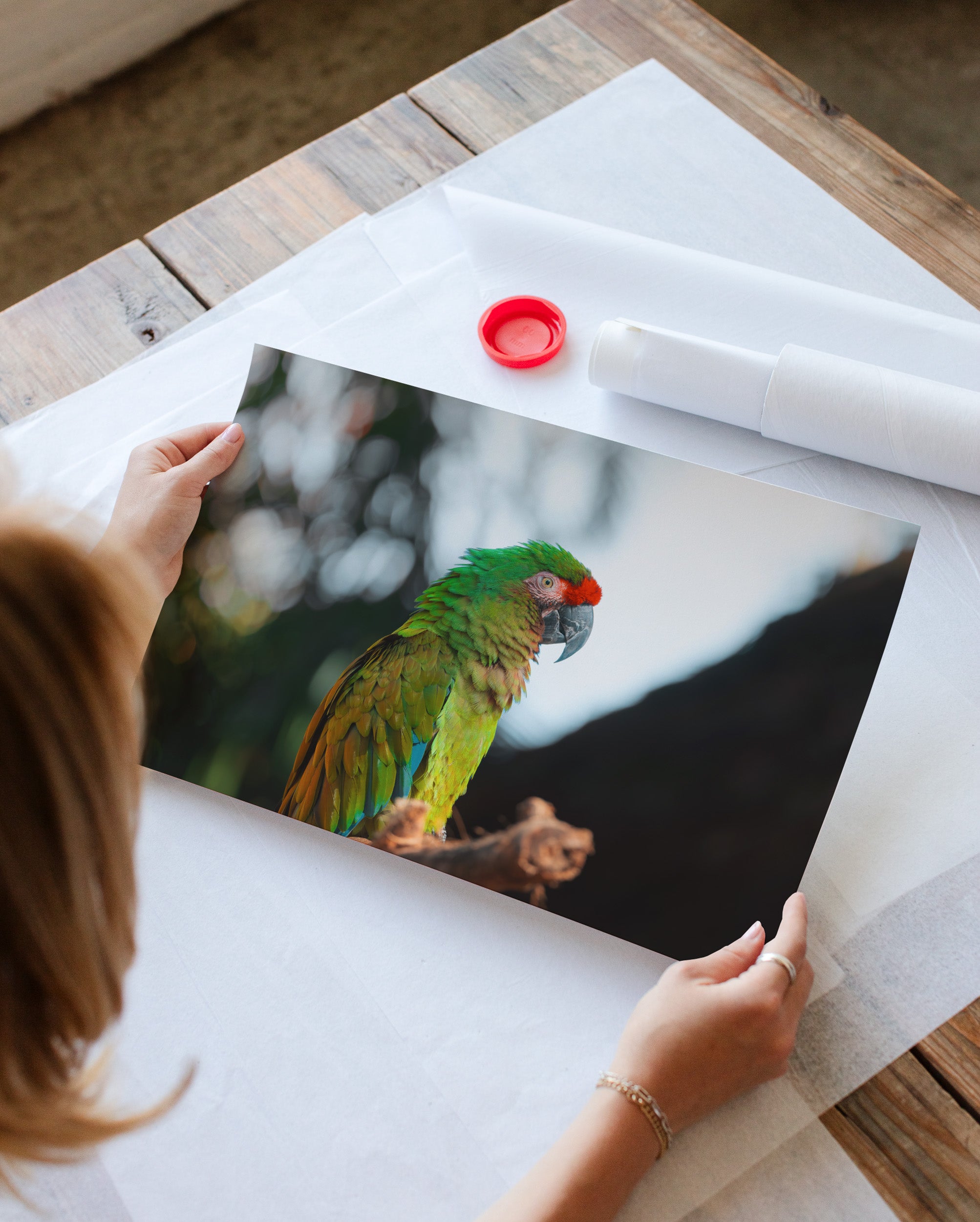Green Macaw Parrot on a Branch II
