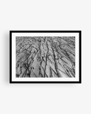 Iceland Glacier Ice Patterns Texture (BW)