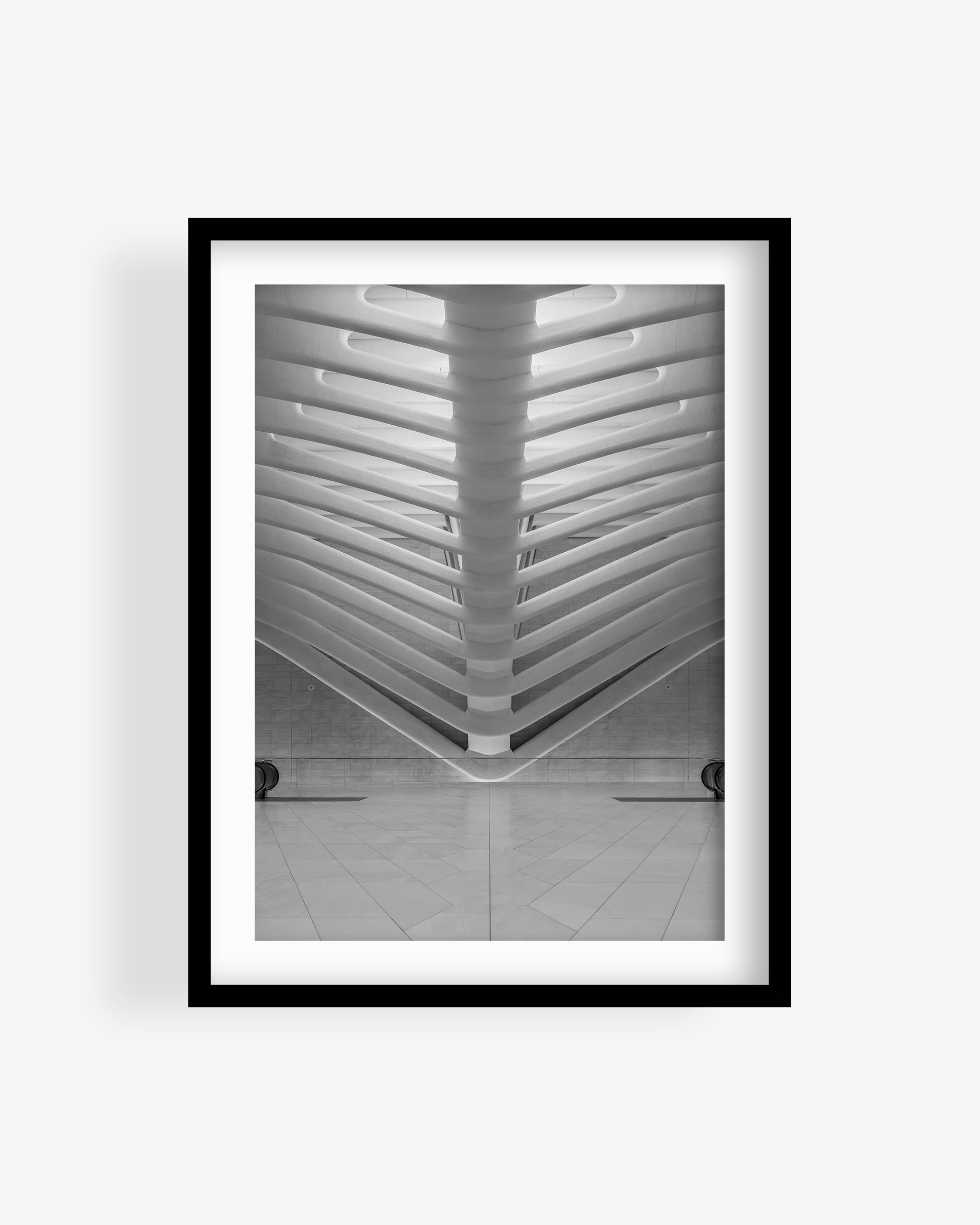 Oculus One World Trade Center Interior BW