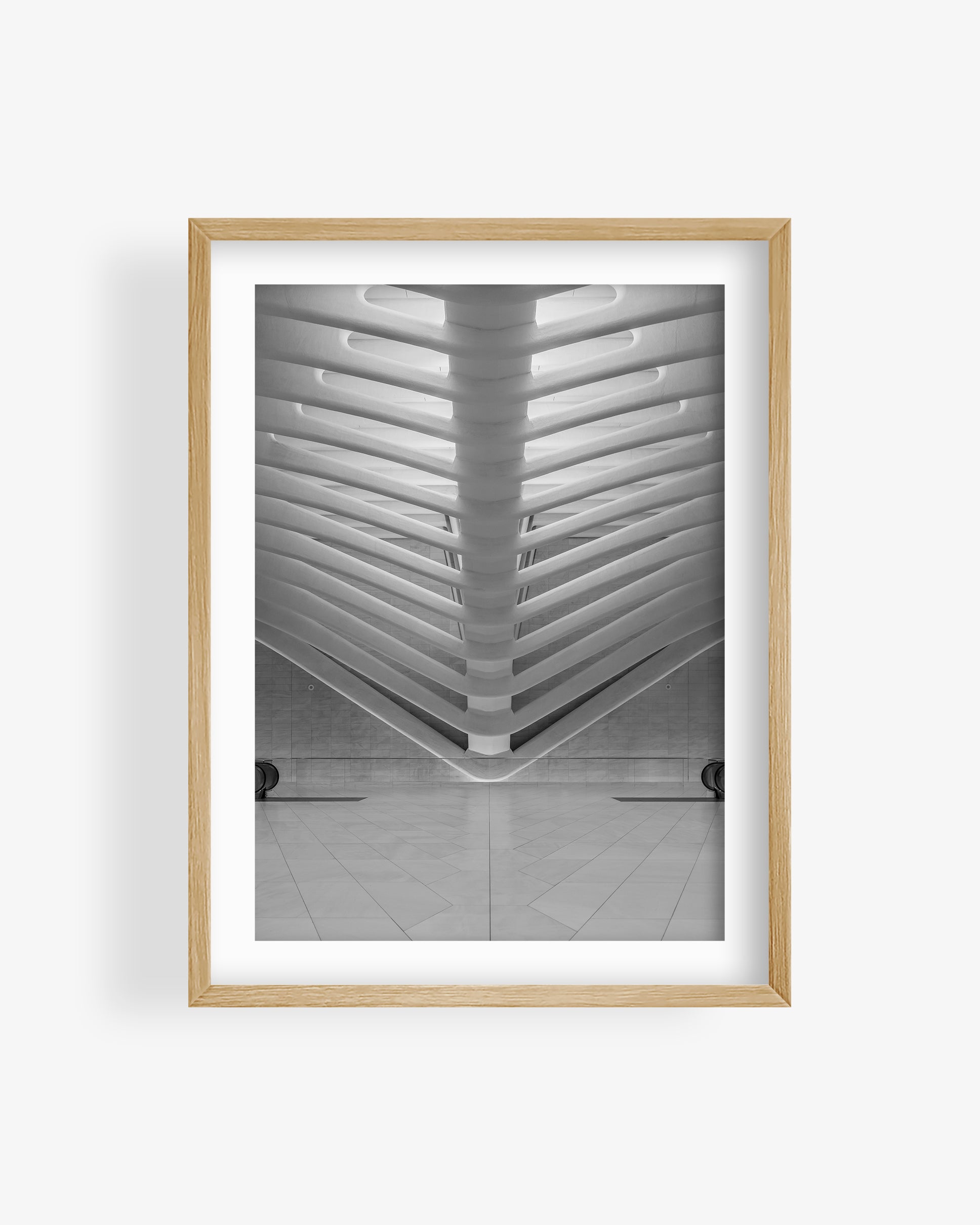Oculus One World Trade Center Interior BW