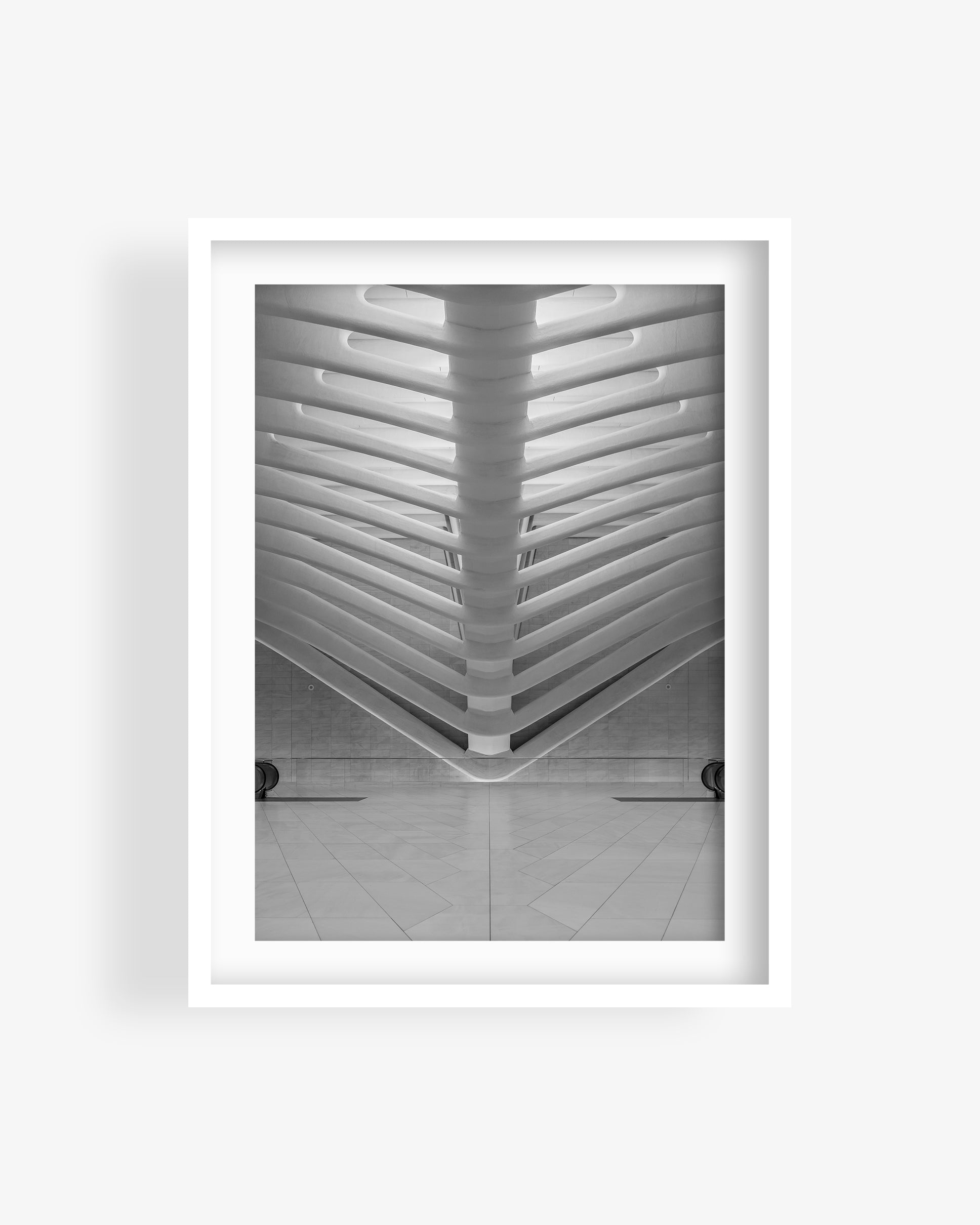 Oculus One World Trade Center Interior BW